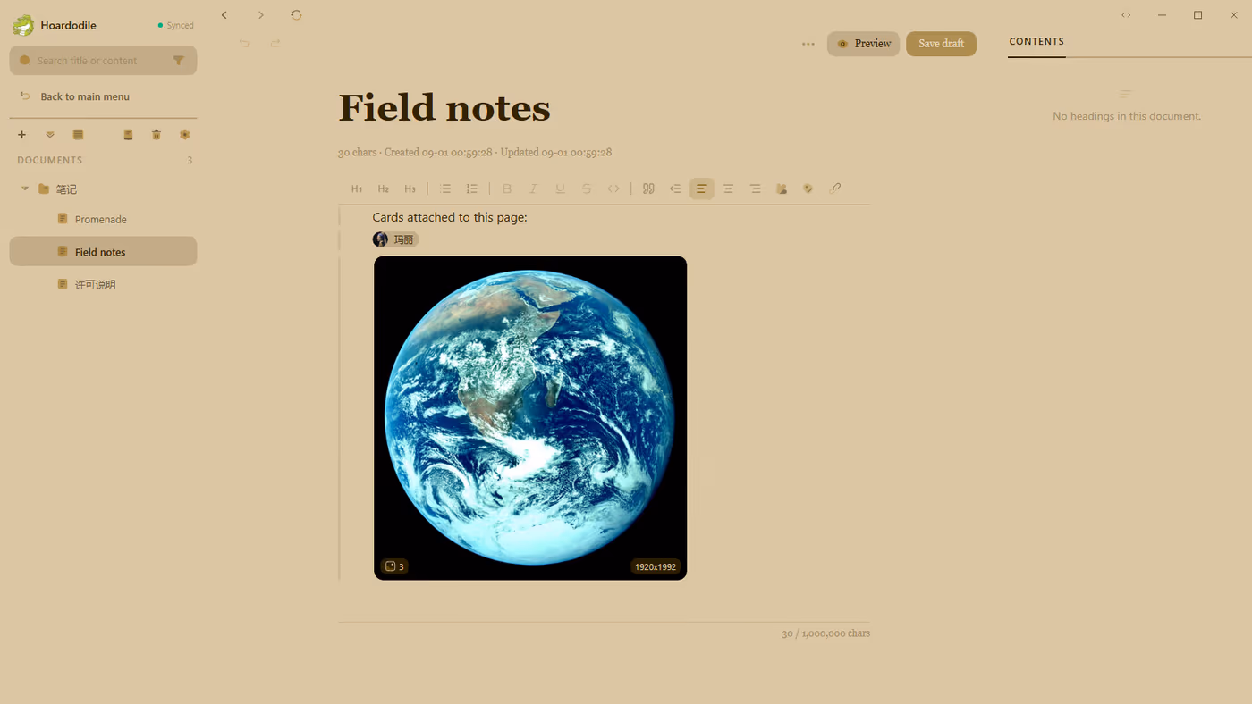 Document editor